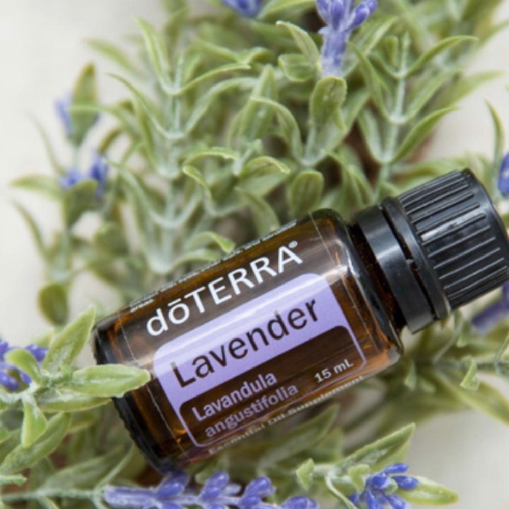 doTerra Lavendar Essential Oil